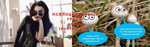 mdpv Баксан
