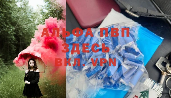 ГАЛЛЮЦИНОГЕННЫЕ ГРИБЫ Беломорск