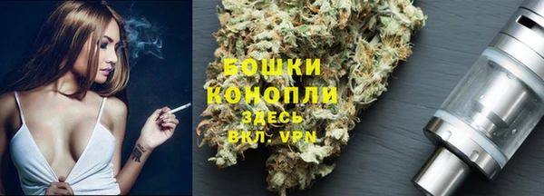 спайс Белокуриха