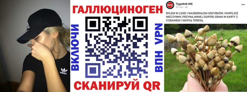 цены наркотик  Шарыпово  Псилоцибиновые грибы MAGIC MUSHROOMS 